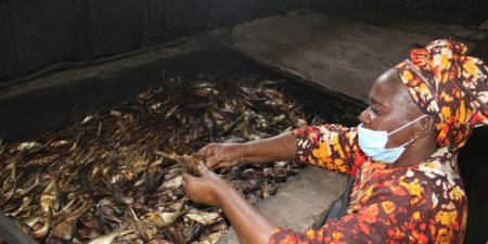 PLATEFORME DE TRANSFORMATION DE POISSON DES FEMMES DE FANDA DE ZIGUINCHOR : La FAO aide à la  réhabilitation