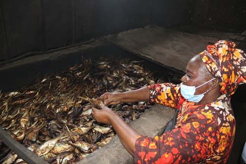 PLATEFORME DE TRANSFORMATION DE POISSON DES FEMMES DE FANDA DE ZIGUINCHOR : La FAO aide à la  réhabilitation