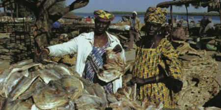 Les activités des femmes transformatrices de poissons de Bargny  menacées: Guy Marius Sagna et  FRAPP portent le plaidoyer