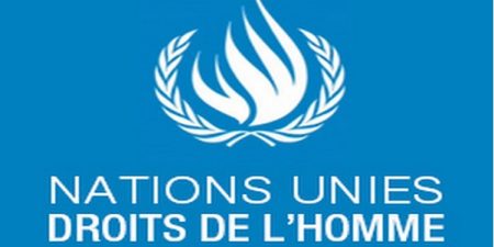 Situation en Liptako Gourma : la coordination civilo-militaire, un impératif pour le respect des principes humanitaires et l’assistance vitale aux populations (HCDH)