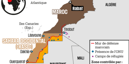 Paix au Sahara occidental : Le Panafricaniste Rachid Nekkaz et l’Américaine Cécile Le Roux valident à 100% la nouvelle approche