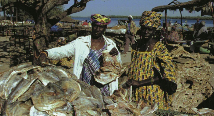 FEMMES TRANSFORMATRICES DE POISSON : 8 mars 2022, jour de fête sur fond de désespoir selon Greenpeace Afrique