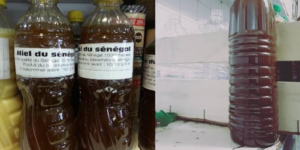 Histoire de la FAO source de motivation :  Le miel comme priorité…Sortir de l&rsquo;ombre grâce à l&rsquo;apiculture…