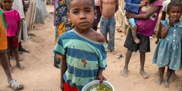 Crise dans le Golfe : engrais, énergie, alimentation… la FAO met en garde contre un choc majeur sur les systèmes alimentaires