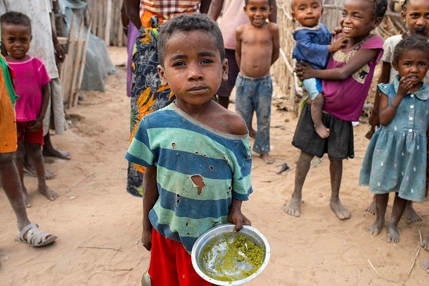 Réunion de haut niveau de la FAO: Crises alimentaires et nutritionnelles dans les régions du Sahel et du lac Tchad au menu