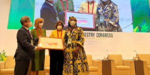 Sacre : L’activiste camerounaise Cécile Ndjebet, remporte le prix Wangari Maathai «Champions de la cause des forêts» 2022