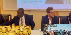 Marché unique du Cajou dans la sous-région :: Le SRE, mécanisme sûr de promotion du financement de la chaîne de valeur anacarde