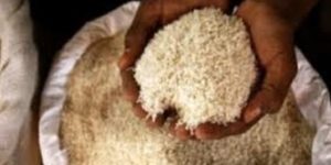 Affaire du riz présumé périmé distribué aux populations :Serigne Mor Sokhna accuse le maire de Latmingue – Macoumba Diouf