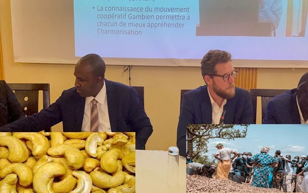 Marché unique du Cajou dans la sous-région :: Le SRE, mécanisme sûr de promotion du financement de la chaîne de valeur anacarde