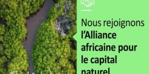 Croissance et  protection des ressources naturelles de l’Afrique : naissance de l’ANCA au Ghana