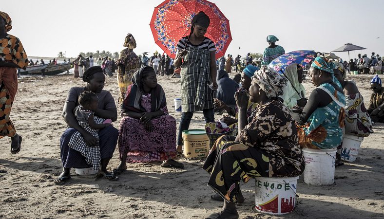 HUITRES : La production annuelle avoisine 400 tonnes au Sénégal