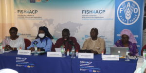 HUITRES : La production annuelle avoisine 400 tonnes au Sénégal