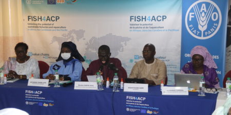 HUITRES : La production annuelle avoisine 400 tonnes au Sénégal