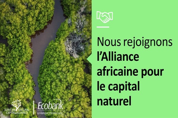 Croissance et  protection des ressources naturelles de l’Afrique : naissance de l’ANCA au Ghana