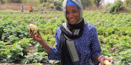 Innovations : Un système d’approvisionnement en eau hors du commun en Gambie (FAO)