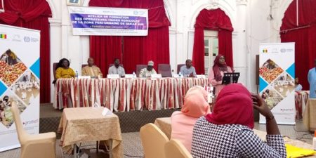 FORMALISATION DE L’ENTREPRISE : Plus d’une vingtaine de jeunes opérateurs agricoles formés par la CCIAD