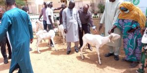 Solidarité Tabaski : 129 moutons distribués aux habitants de Camberéne, Dieupeul/Derklé