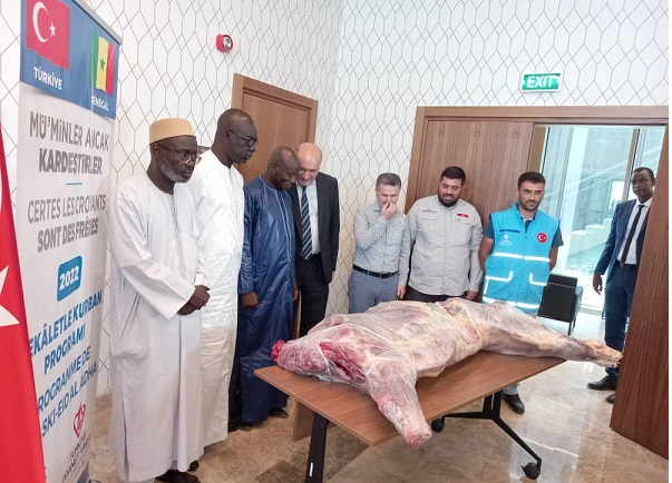 Coopération Sénégal/Turquie: 1074 bœufs sacrifiés en solidarité pour 10 740 ménages