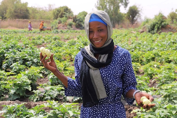 Innovations : Un système d’approvisionnement en eau hors du commun en Gambie (FAO)