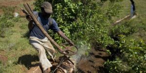 Rôle de l’eau et du séquençage du génome entier dans la protection de la santé des êtres humains, des animaux et des écosystèmes (FAO)