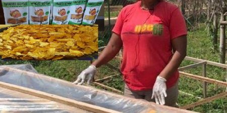 Guinée : Agrinnov de Fatoumata Bah s’illustre dans le domaine des fruits séchés