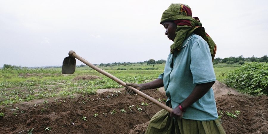 Engrais et Santé des Sols en Afrique de l’Ouest : la CEDEAO se concerte avec les principaux acteurs