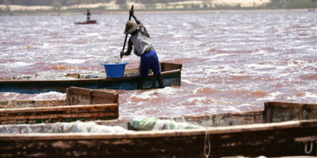 Sénégal-sur les bords du lac Rose : les extracteurs de sel minés par la montée des eaux