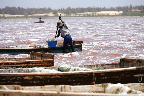 Déversement des eaux au Lac Rose : L’inquiétude des exploitants de sel