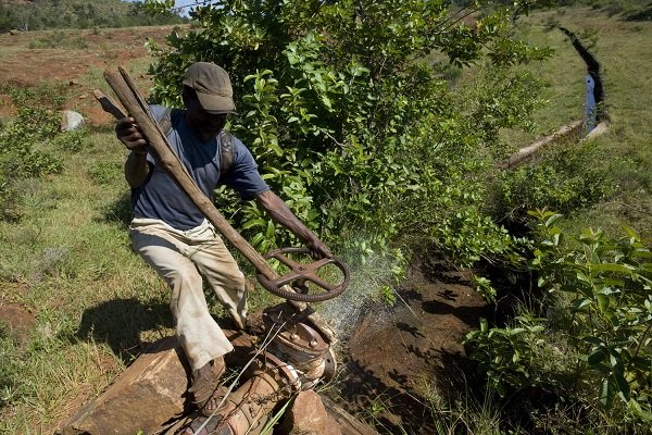 Crise agricole, climat, gouvernance : l’ONG AHDIS alerte et appelle à la mobilisation citoyenne