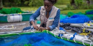 Alimentation et  développement durable :  La FAO dirige les efforts mondiaux visant à renforcer l&rsquo;aquaculture