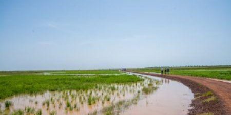 Réunion de reconstitution du Fonds africain de développement : les délégués visitent des périmètres rizicoles