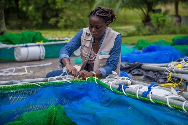 Gabon : la demande croissante de poisson offre de nouvelles perspectives aux jeunes dans l’aquaculture