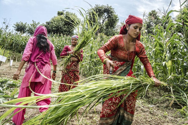 Journée internationale des femmes 2024 : Investir dans les femmes et les filles est bon pour l’économie et accélère les progrès pour des millions de personnes