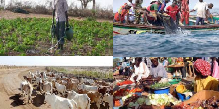 L’intersyndicale du secteur primaire dépose un préavis : Vers une grève générale illimitée à partir du 9 février