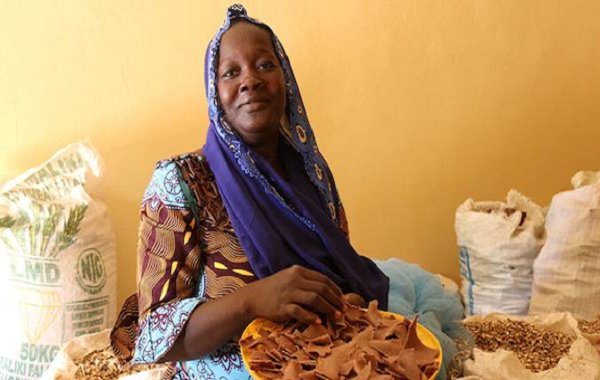 Autonomiser les femmes rurales au Niger . : l’histoire Saoudé Garba qui donne l’exemple