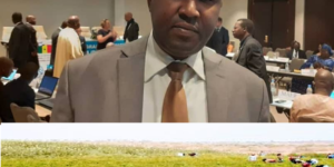 Campagne de commercialisation horticole 2021-2022 ; l&rsquo;Orsre rassure les agriculteurs, un bilan satisfaisant,