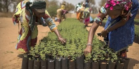 Tremblement de terre au Myanmar : à l’approche de la saison des semis, la FAO intensifie ses interventions d’urgence en faveur des agriculteurs