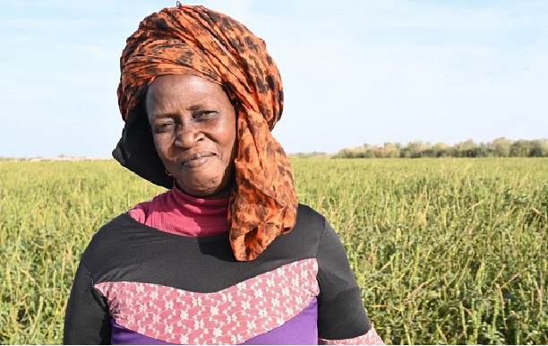 Agriculture : Réimplanter les nénuphars dans la nature et les faire revenir dans les cuisines sénégalaises