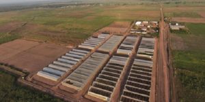 Energies : Tysilio inaugure une station solaire près de Sédhiou sur le site du PRODAC de Sefa