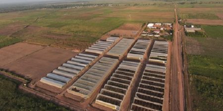 Energies : Tysilio inaugure une station solaire près de Sédhiou sur le site du PRODAC de Sefa