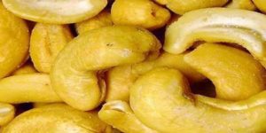 Commercialisation de l’anacarde à Sedhiou : Une perte d’un milliard de francs guette le secteur