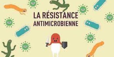 RESISTANCE AUX ANTIMICROBIENS (RAM) : Une menace pour le développement humain et la production animale