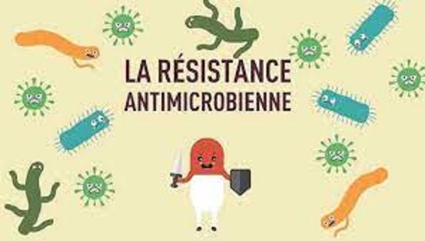 RESISTANCE AUX ANTIMICROBIENS (RAM) : Une menace pour le développement humain et la production animale