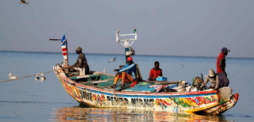 Journée mondiale de la pêche :  Les pêcheurs s’unissent pour lutter contre l’industrie destructrice de la farine de poisson