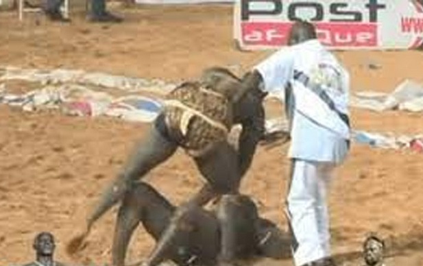 Lutte sénégalaise : Boy Niang Terrasse Balla Gaye 2 en 2 minutes