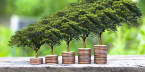 CEDEAO : des perspectives économiques encourageantes, avec une croissance de 7,1 % à l’horizon 2027 malgré les défis de sécurité alimentaire