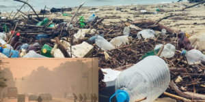 9 millions de décès prématurés par an : Sortir de la crise de la pollution, un enjeu de santé publique, économique et environnementale (Banque Mondiale)