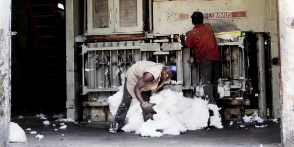 UNITES ECONOMIQUES AU SENEGAL : 97,1% des entreprises recensées ne sont enregistrées dans aucun registre administratif