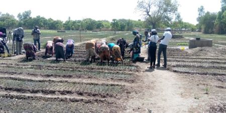 MAITRISE DE L’EAU A DASSILAME SERERE, NEMAH BA, BATAMARE DANS LA COMMUNE DE TOUBACOUTA : Augmentation des rendements de la production maraîchère avec le projet PARIIS Sénégal