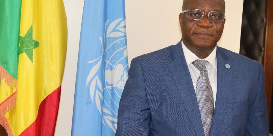 Transformer les systèmes agroalimentaires au Sénégal